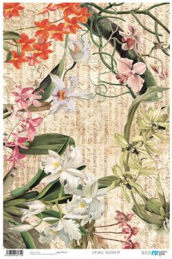 PFY-171 - PAPEL CARTONAJE ORCHIDARIUM - pack 12 ud.