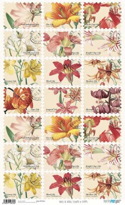 PFY-1816 - PAPEL DE ARROZ FLOWER & STAMPS - pack 6 ud.