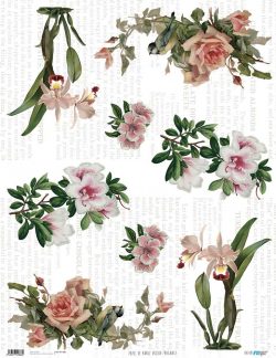 PFY-1886 - PAPEL DE ARROZ ORCHID FRAGANCE - pack 6 ud.