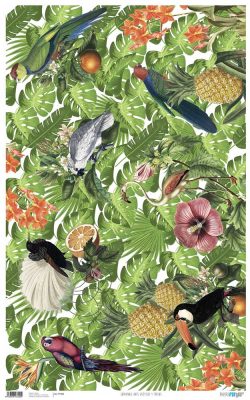 PFY-220 - PAPEL CARTONAJE AVES EXÓTICAS Y FRUTAS - pack 6 ud.