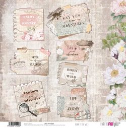 PFY-2250 - PAPEL SCRAP BORN TO BE WILD - pack 12 ud.