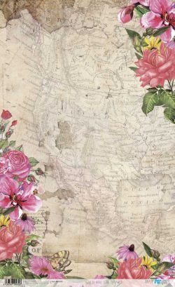 PFY-2432 - PAPEL DE ARROZ BORN TO BE WILD - pack 6 ud.