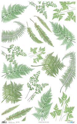 PFY-873 - PAPEL CARTONAJE GREEN FERN LEAVES - pack 6 ud.