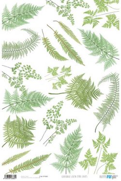 PFY-880 - PAPEL CARTONAJE GREEN FERN LEAVES - pack 12 ud.