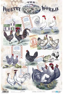 PFY-896 - PAPEL CARTONAJE GALLINERO CLASSIC - pack 12 ud.