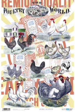 PFY-897 - PAPEL CARTONAJE GALLINERO POP - pack 12 ud.