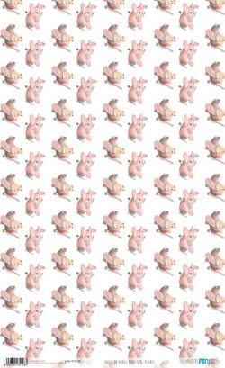 PFY-3128 - PAPEL ARROZ 54X33 BABY GIRL WORLD - pack 6 ud.