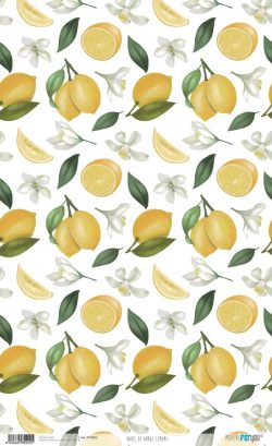 PFY-4022 - PAPEL ARROZ 54x33 LEMONS - pack 6 ud.