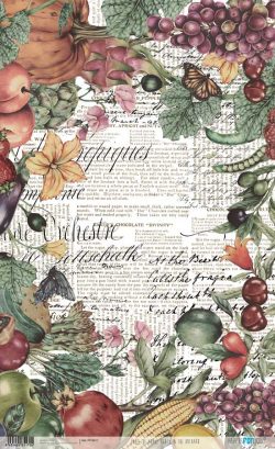 PFY-4517 - PAPEL ARROZ 54x33 PARTY IN THE ORCHARD - pack 6 ud.