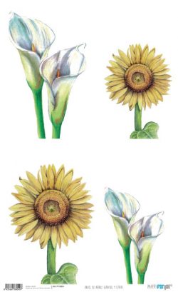 PFY-4804 - PAPEL ARROZ 54X33 GIRASOL Y LIRIOS - pack 6 ud.
