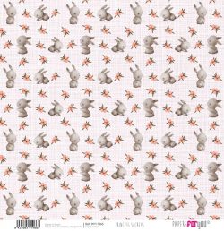 PFY-11966 - Papel Scrap Vellum 160gr (Princess Secrets)- pack 12 ud.