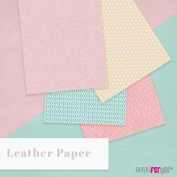 LEATHER PAPER KITS