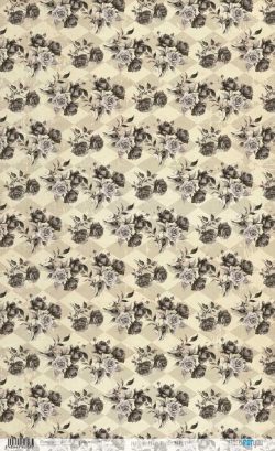 PFY-12707 - Papel Arroz 54x33 cm 25-30 gr. (Bloody Mary VI)- pack 6 ud.