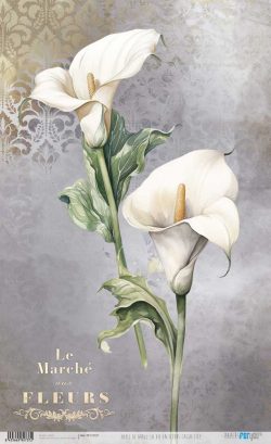 PFY-12737 - Papel Arroz 54x33 cm 25-30 gr. (La Vie En Fleurs Calla Lily I)- pack 6 ud.