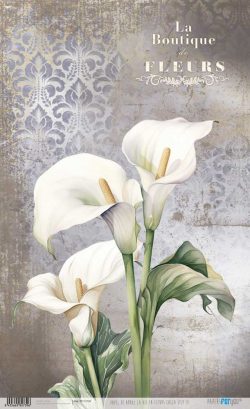 PFY-12739 - Papel Arroz 54x33 cm 25-30 gr. (La Vie En Fleurs Calla Lily III)- pack 6 ud.