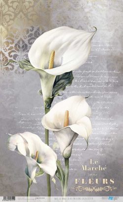 PFY-12741 - Papel Arroz 54x33 cm 25-30 gr. (La Vie En Fleurs Calla Lily IV)- pack 6 ud.