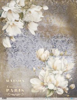 PFY-12743 - Papel Arroz 54x70 cm 25-30 gr. (La Vie En Fleurs Magnolias II)- pack 6 ud.
