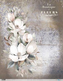 PFY-12744 - Papel Arroz 54x70 cm 25-30 gr. (La Vie En Fleurs Magnolias III)- pack 6 ud.
