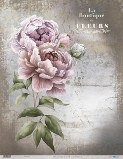 PFY-12753 - Papel Arroz 54x70 cm 25-30 gr. (La Vie En Fleurs Peonies III)- pack 6 ud.