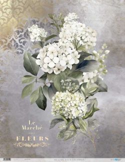 PFY-12755 - Papel Arroz 54x70 cm 25-30 gr. (La Vie En Fleurs Hydrangeas I)- pack 6 ud.
