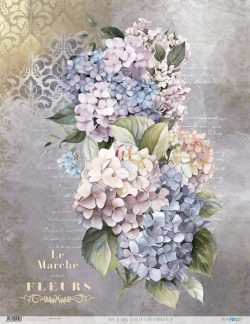 PFY-12758 - Papel Arroz 54x70 cm 25-30 gr. (La Vie En Fleurs Hydrangeas IV)- pack 6 ud.