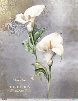 PFY-12768 - Papel Arroz 54x70 cm 25-30 gr. (La Vie En Fleurs Calla Lily I)- pack 6 ud.