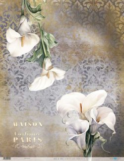 PFY-12769 - Papel Arroz 54x70 cm 25-30 gr. (La Vie En Fleurs Calla Lily II)- pack 6 ud.