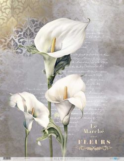 PFY-12772 - Papel Arroz 54x70 cm 25-30 gr. (La Vie En Fleurs Calla Lily IV)- pack 6 ud.