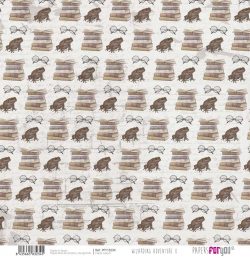 PFY-13234 - Papel Scrap Vellum 90gr (Wizarding Adventure II)- pack 12 ud.