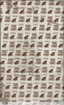 PFY-13257 - Papel de Arroz 54x33 cm 25-30 gr. (Wizarding Adventure III)- pack 6 ud.