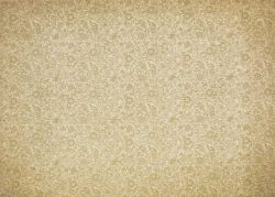 PFY-12947 - Tela Encuadernar Decorada 70x50cm (Wild West I)- pack 6 ud.