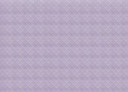 PFY-13324 - Tela Encuadernar Decorada 70x50cm. (The Radiant Princess III)- pack 6 ud.