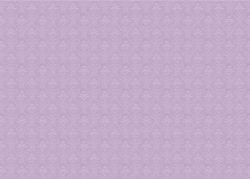 PFY-13325 - Tela Encuadernar Decorada 70x50cm. (The Radiant Princess IV)- pack 6 ud.