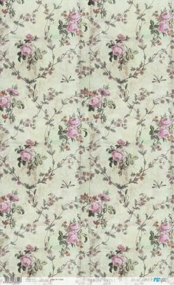 PFY-13355 - Papel Arroz 54x33 cm 25-30 gr. (The Radiant Princess I)- pack 6 ud.