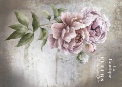 PFY-12799 - Tela Encuadernar Decorada 70x50cm. (La Vie En Fleurs Peonies III) - pack 6 ud.
