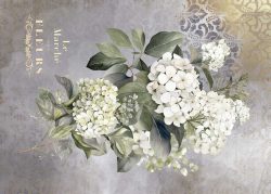PFY-12802 - Tela Encuadernar Decorada 70x50cm. (La Vie En Fleurs Hydrangeas I) - pack 6 ud.