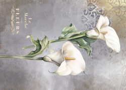 PFY-12815 - Tela Encuadernar Decorada 70x50cm. (La Vie En Fleurs Calla Lily I) - pack 6 ud.
