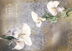PFY-12816 - Tela Encuadernar Decorada 70x50cm. (La Vie En Fleurs Calla Lily II) - pack 6 ud.