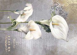PFY-12818 - Tela Encuadernar Decorada 70x50cm. (La Vie En Fleurs Calla Lily IV) - pack 6 ud.