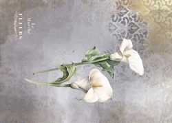 PFY-13131 - Tela Encuadernar Decorada 70x50cm. (La Petite Vie En Fleurs Calla Lily I) - pack 6 ud.