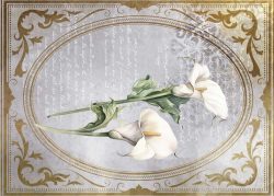 PFY-13132 - Tela Encuadernar Decorada 70x50cm. (La Petite Vie En Fleurs Calla Lily II) - pack 6 ud.