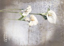 PFY-13135 - Tela Encuadernar Decorada 70x50cm. (La Petite Vie En Fleurs Calla Lily V) - pack 6 ud.