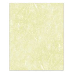 PFY-13804 - Papel Arroz 50x70 cm 25-30 gr. (Lemonade)- pack 12 ud.