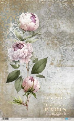 PFY-12897 - Papel Arroz 54x33 cm 25-30 gr. (La Petite Vie En Fleurs Peonies III) - pack 6 ud.