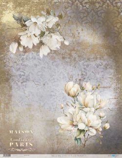 PFY-13031 - Papel Arroz 54x70 cm 25-30 gr. (La Petite Vie En Fleurs Magnolias III) - pack 6 ud.