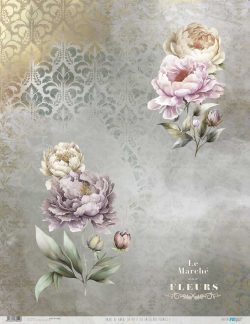 PFY-13042 - Papel Arroz 54x70 cm 25-30 gr. (La Petite Vie En Fleurs Peonies I) - pack 6 ud.