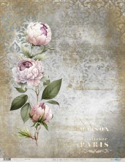 PFY-13044 - Papel Arroz 54x70 cm 25-30 gr. (La Petite Vie En Fleurs Peonies III) - pack 6 ud.