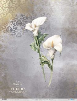 PFY-13068 - Papel Arroz 54x70 cm 25-30 gr. (La Petite Vie En Fleurs Calla Lily I) - pack 6 ud.