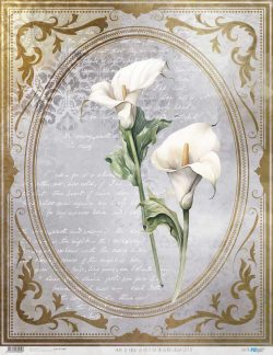PFY-13069 - Papel Arroz 54x70 cm 25-30 gr. (La Petite Vie En Fleurs Calla Lily II) - pack 6 ud.