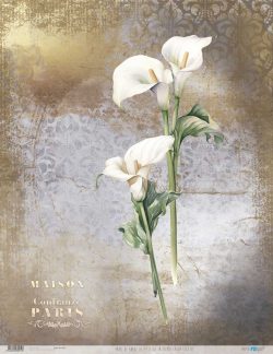 PFY-13071 - Papel Arroz 54x70 cm 25-30 gr. (La Petite Vie En Fleurs Calla Lily III) - pack 6 ud.
